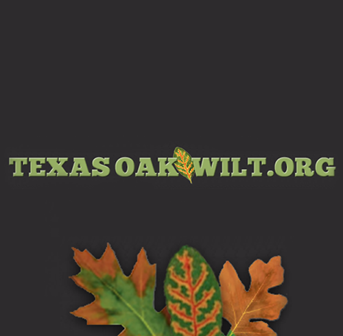 Texas Oak Wilt