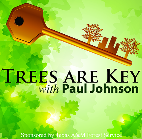 Trees Are Key Podcast with Paul Johnson