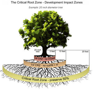 Image courtesy City of Austin.