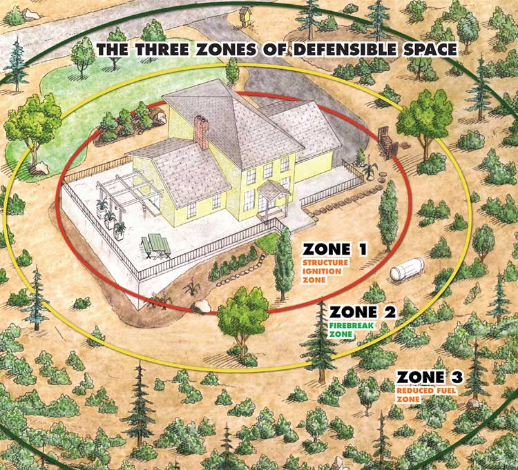 Tree Care Home Preservation Zone