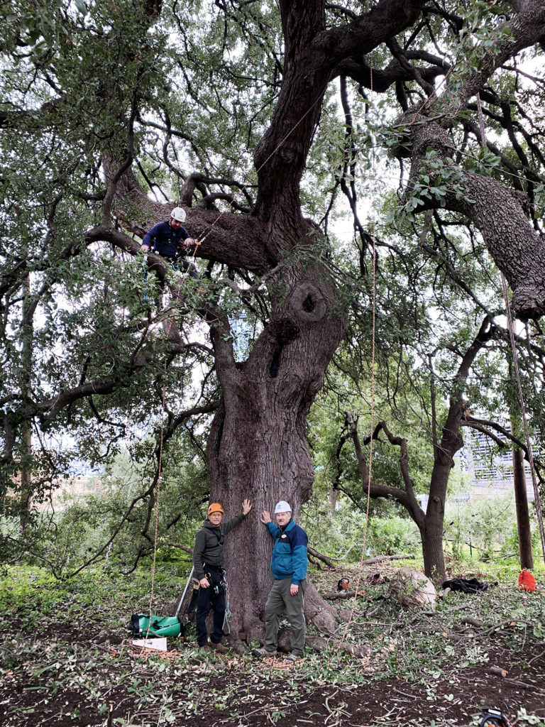 Guy LeBlanc and John Giedraitis with the Treaty Oak.